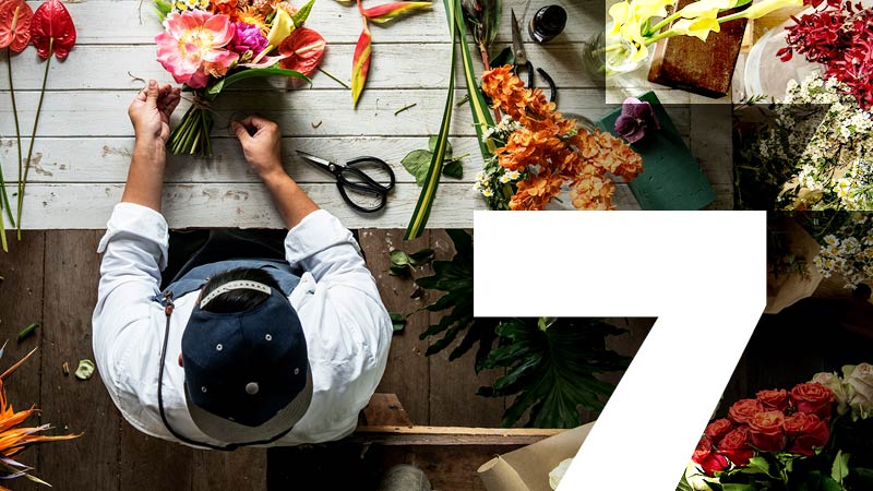 person cutting flowers